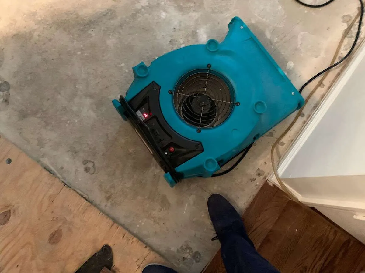 Air mover drying subfloor during Leak Detection & Repair in Strawberry